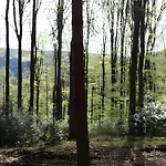 Kempfenhof * زيلباخ