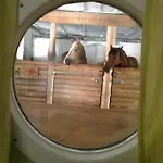 Kempfenhof شقة *