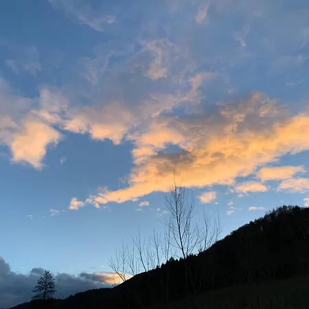 Lejlighed Kempfenhof