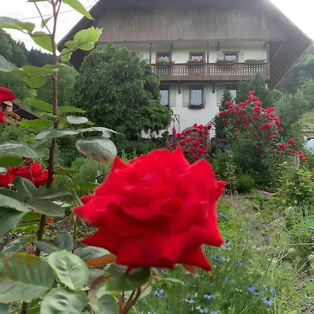 Kempfenhof Lejlighed Seelbach (Baden-Wurttemberg)