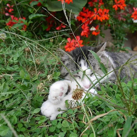 Kempfenhof Lejlighed