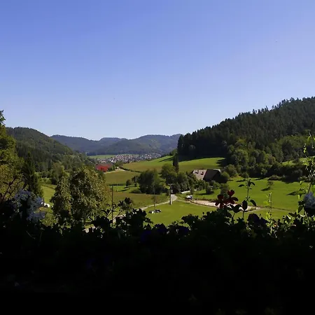 Kempfenhof Lejlighed Seelbach (Baden-Wurttemberg)