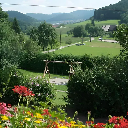Lejlighed Kempfenhof Seelbach (Baden-Wurttemberg)