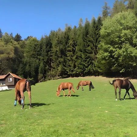 Kempfenhof Lejlighed Seelbach (Baden-Wurttemberg)