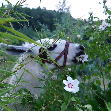 Kempfenhof Seelbach (Baden-Wurttemberg)