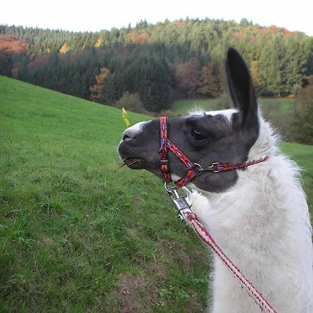 Kempfenhof Lejlighed *