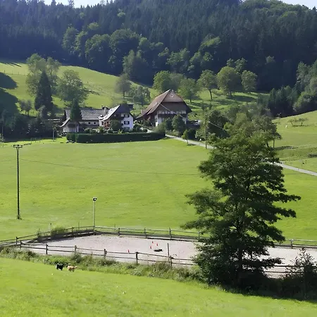 Lejlighed Kempfenhof Seelbach (Baden-Wurttemberg)