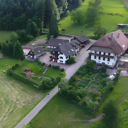 Lejlighed Kempfenhof Seelbach (Baden-Wurttemberg)