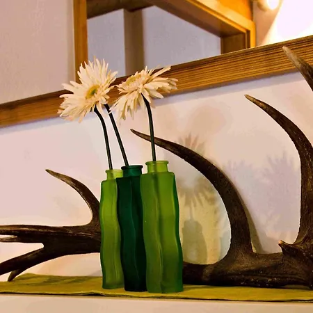 Apartman Kempfenhof