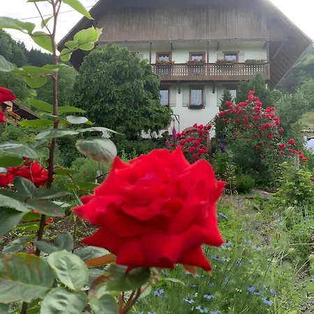 Appartamento Kempfenhof *